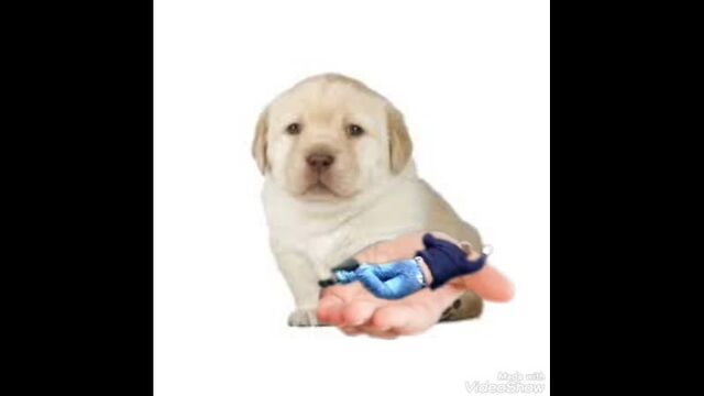 Секс видео №84004 - sexovidos.com