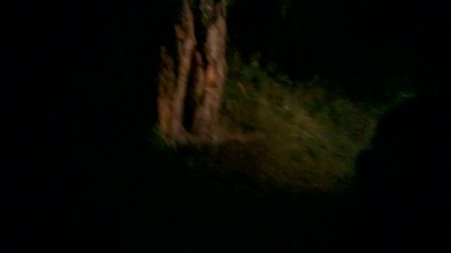 Секс видео №25715 - sexovidos.com