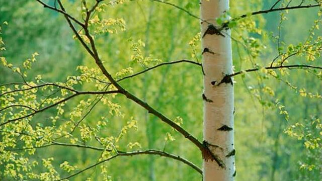 Секс видео №67312 - sexovidos.com