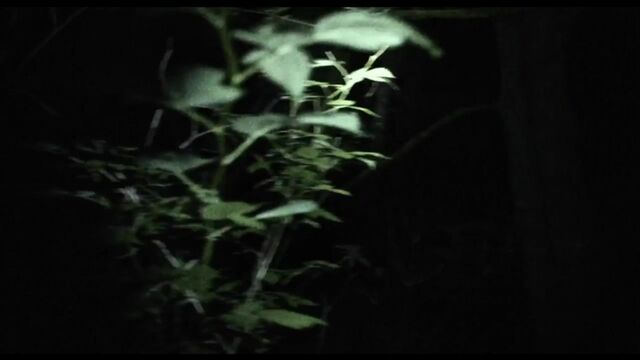 Секс видео №38703 - sexovidos.com