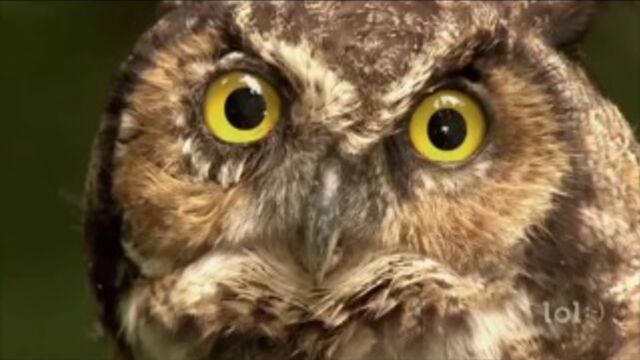 Секс видео №13627 - sexovidos.com