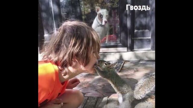Мама вышла за порог и застыла в шоке! Я думал, такое бывает только у Диснея... - sexovidos.com