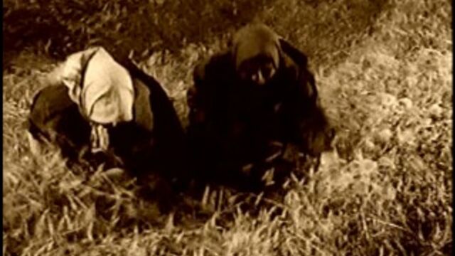 Секс видео №396912 - sexovidos.com