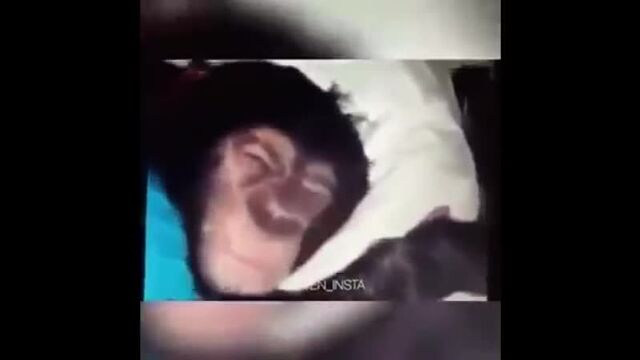 Секс видео №308214 - sexovidos.com