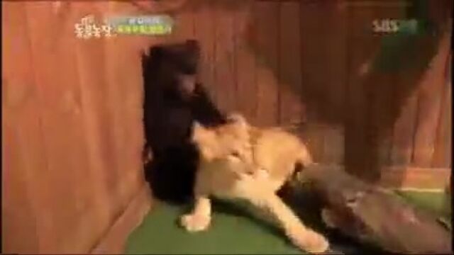 Секс видео №254467 - sexovidos.com