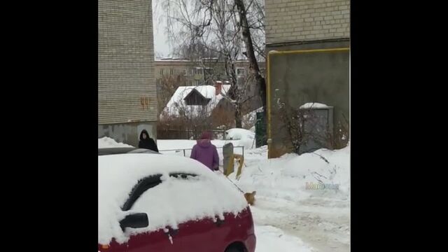 Секс видео №36245 - sexovidos.com