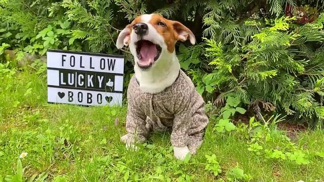 Секс видео №165110 - sexovidos.com