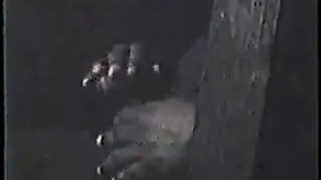 Секс видео №107392 - sexovidos.com