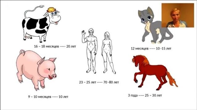 Секс видео №87034 - sexovidos.com