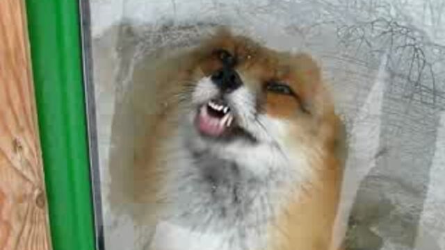 Секс видео №200704 - sexovidos.com