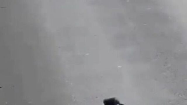 Секс видео №165952 - sexovidos.com