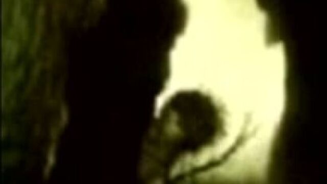 Секс видео №358288 - sexovidos.com