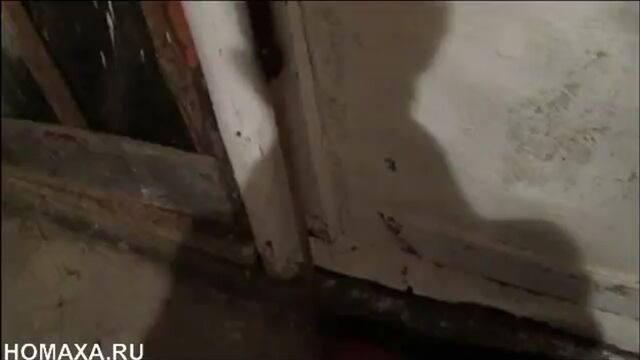 Секс видео №60381 - sexovidos.com