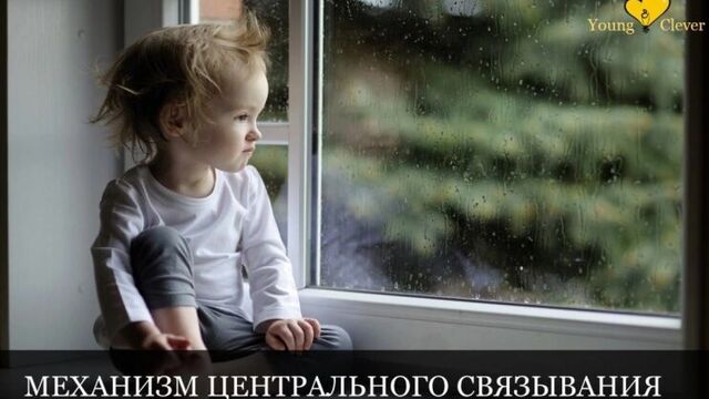 Аутизм Часть 2. (Природные способности мозга. Модель психического Theory of mind. Тест Салли и Энн.) - sexovidos.com