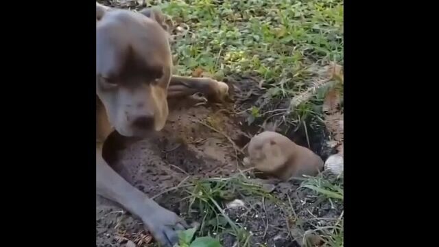 Секс видео №21959 - sexovidos.com