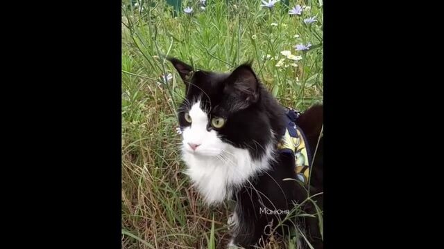 Секс видео №9087 - sexovidos.com