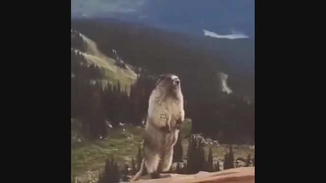 Секс видео №28897 - sexovidos.com