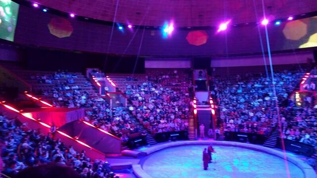 Секс видео №84133 - sexovidos.com