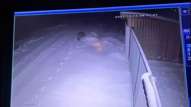 Секс видео №37192 - sexovidos.com