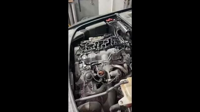 Секс видео №174306 - sexovidos.com