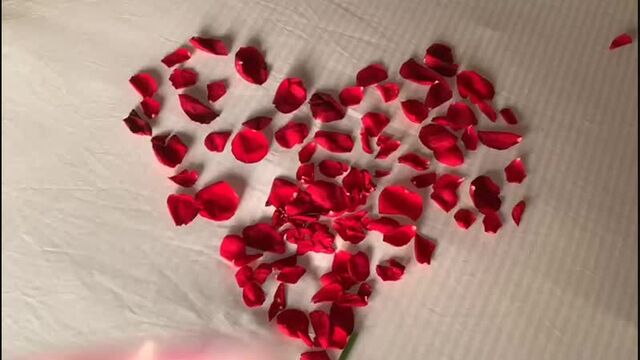 Секс видео №88917 - sexovidos.com