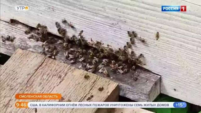 Секс видео №110283 - sexovidos.com