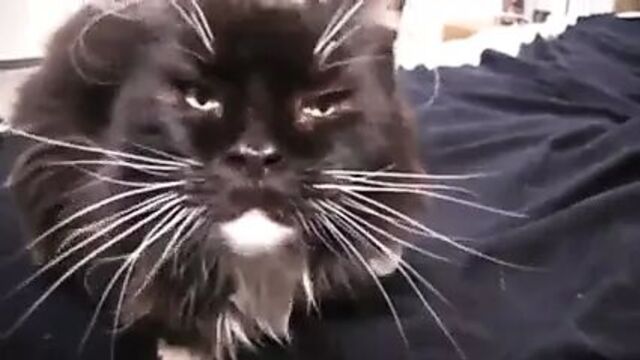 Секс видео №121634 - sexovidos.com