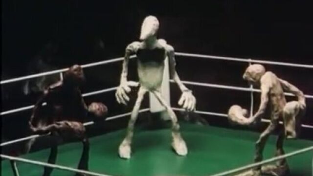 Секс видео №183883 - sexovidos.com