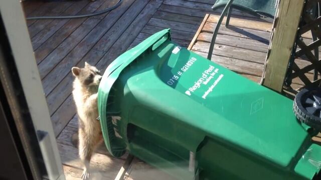 Секс видео №54285 - sexovidos.com