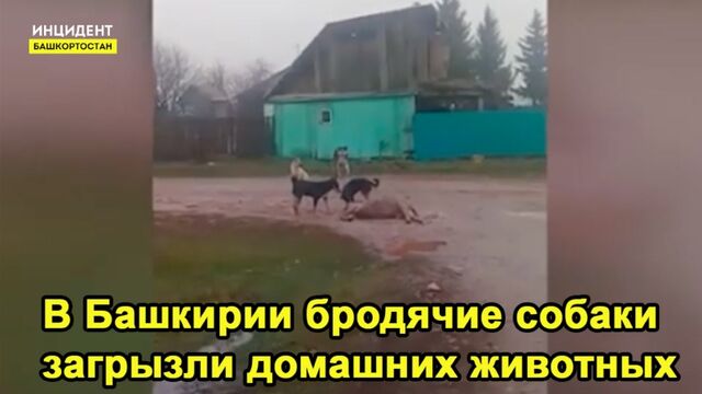 Секс видео №8603 - sexovidos.com