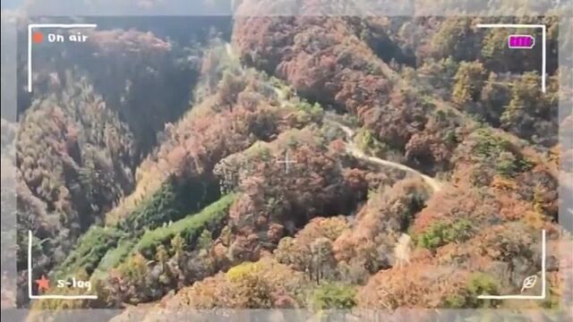 Секс видео №134782 - sexovidos.com