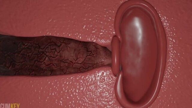 Секс видео №363295 - sexovidos.com