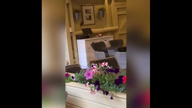 Секс видео №87217 - sexovidos.com