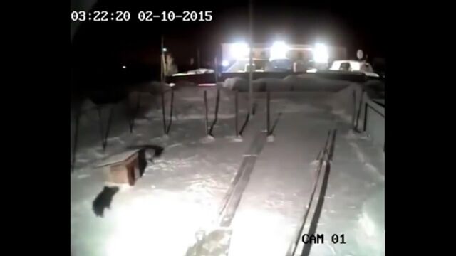 Секс видео №20105 - sexovidos.com