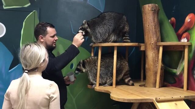 Секс видео №144134 - sexovidos.com