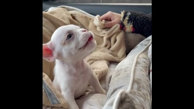 Секс видео №13758 - sexovidos.com