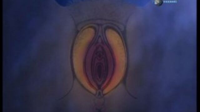 Секс видео №89767 - sexovidos.com