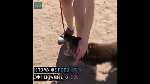 Секс видео №99527 - sexovidos.com