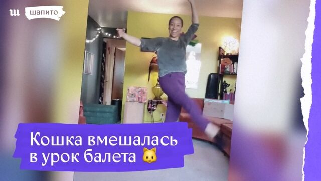 Секс видео №149594 - sexovidos.com