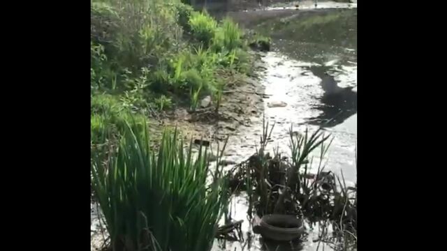 Секс видео №85122 - sexovidos.com