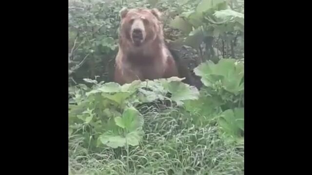 Секс видео №37955 - sexovidos.com