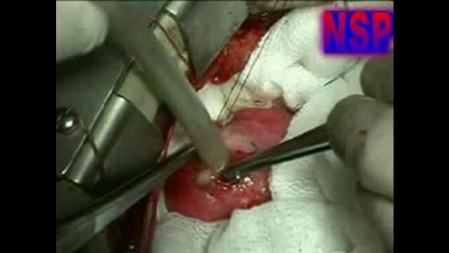 Секс видео №132224 - sexovidos.com