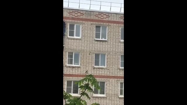 Секс видео №298416 - sexovidos.com