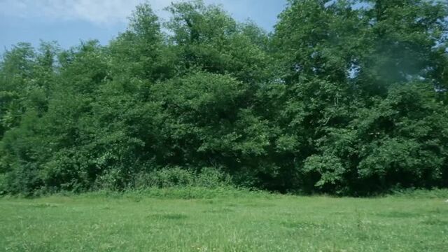 Секс видео №73019 - sexovidos.com